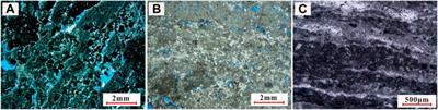 Mineralization of organic matter in microbialites and implications for microbialite reservoirs in Member IV of the Leikoupo Formation, Sichuan Basin, China